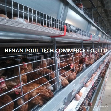 Poultry Battery Cage for Layer Chicken Farm